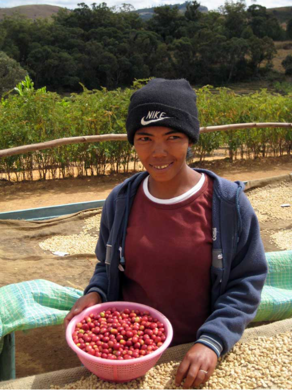 コーヒー農園の女性