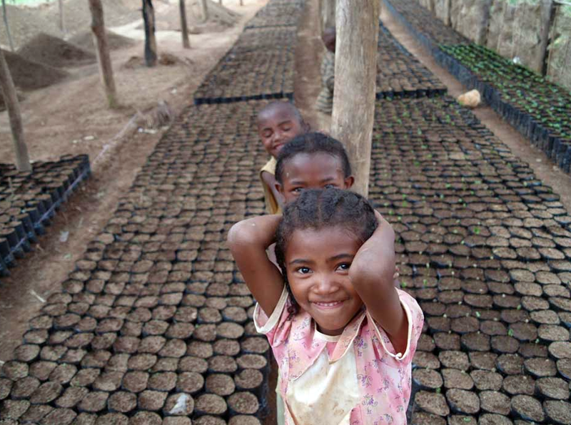 コーヒー農園の子どもたち