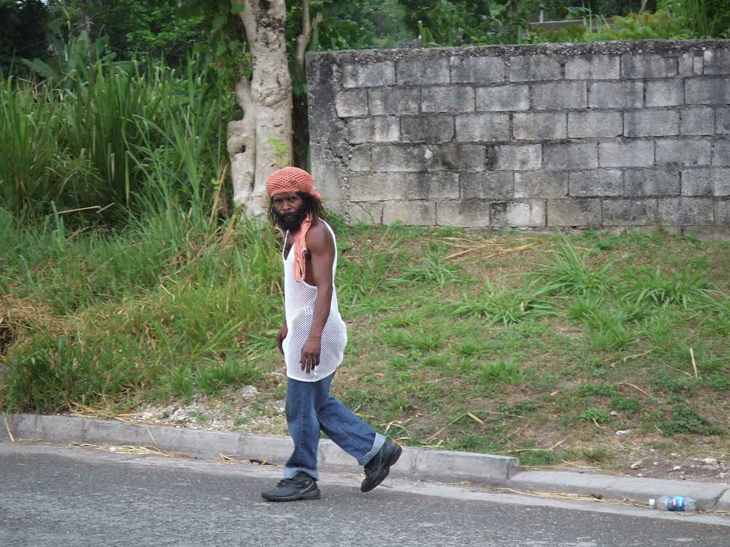 仕事はしてるんでしょうか？