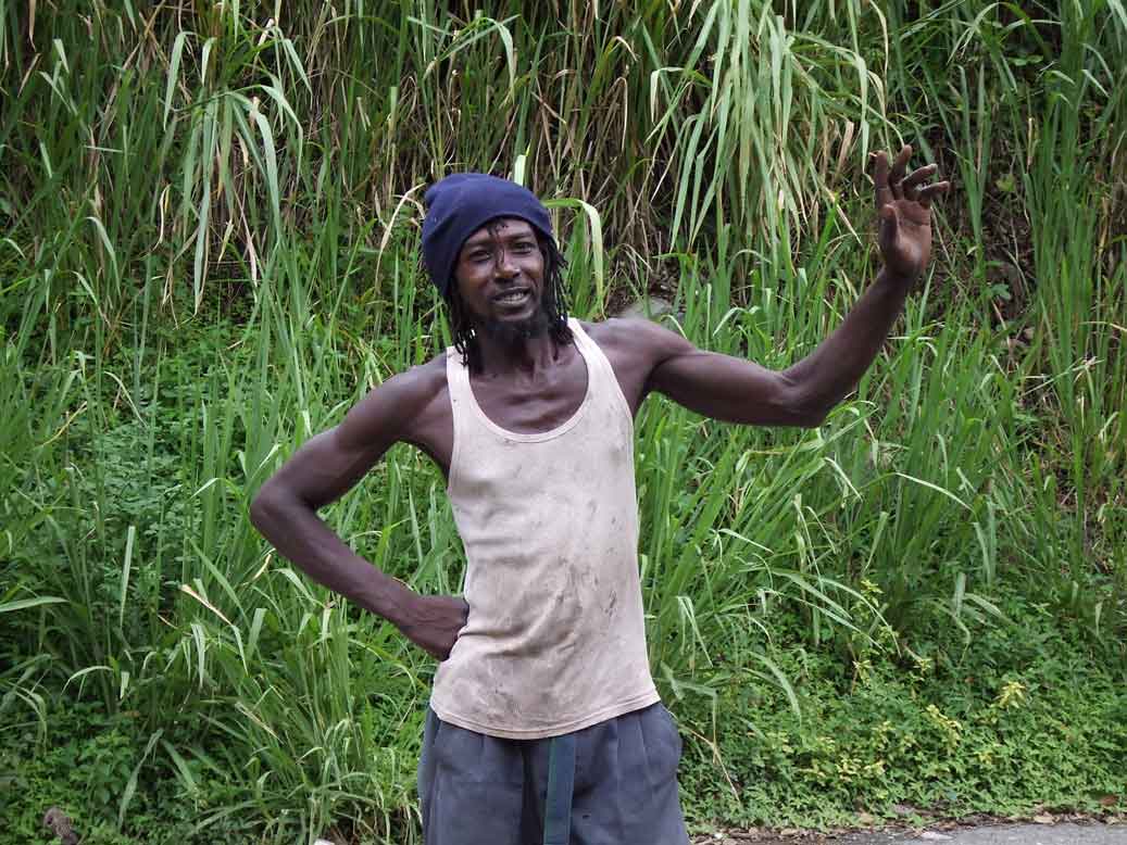 コーヒー生産者