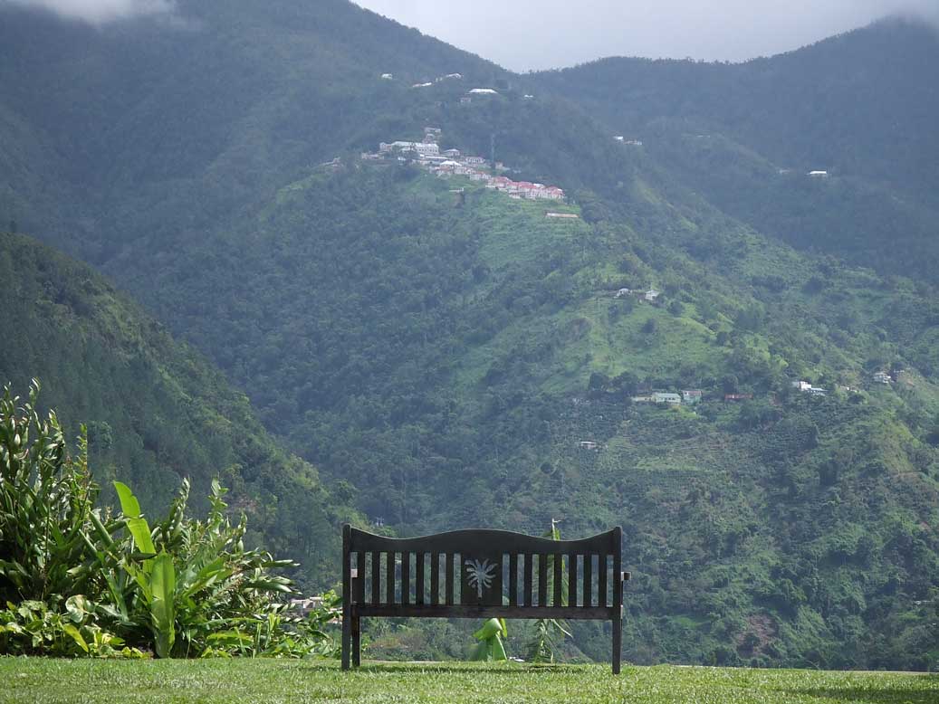 背後はニューキャッスル